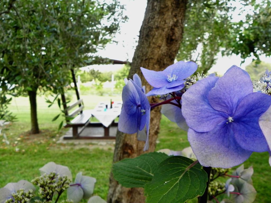 30 Moniga del Garda