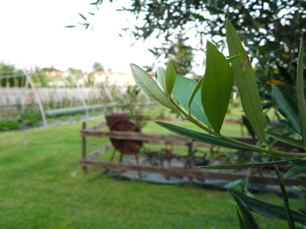 30 Séjour à la ferme Moniga del Garda
